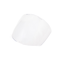 Grinding Visor