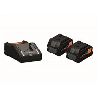 BATTERISATS 2 PROCORE 8AH + 1 LADDARE