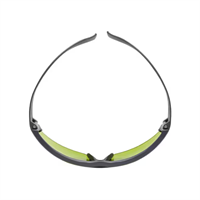SecureFit 600 skyddsglasögon 1,7