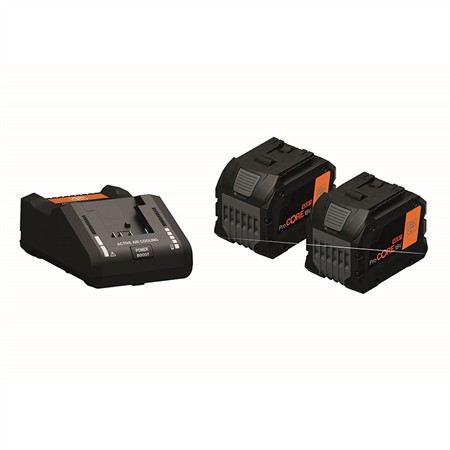 BATTERISATS 2 PROCORE + 1 LADD. 12AH