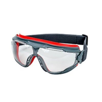 SKYDDSGLASÖGON Goggle Gear